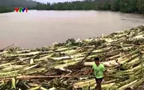 Bão Molave tàn phá Philippines trước khi đổ bộ Việt Nam