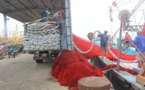 Chìm tàu cá trên đường tránh bão số 9, 12 ngư dân mất tích