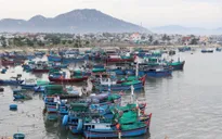 Ninh Thuận thành lập 3 đoàn kiểm tra tại các vùng xung yếu