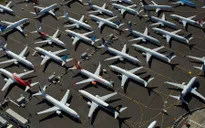 IATA: Doanh thu ngành hàng không thế giới giảm mạnh vào năm 2021