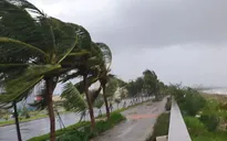 Các địa phương từ Quảng Ninh đến Phú Yên sẵn sàng ứng phó với bão Atsani