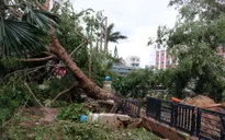 Người dân cần ứng phó thế nào trong và sau cơn bão?
