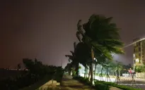 Bão số 9 đang gây mưa to, gió lớn ở nhiều nơi