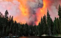 Cháy rừng tại bang California, nhiều người Mỹ gốc Việt phải sơ tán