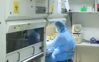 2 trường hợp F1 của bệnh nhân tái dương tính COVID-19 ở Thái Bình đã đi miền Nam