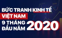 Bức tranh kinh tế Việt Nam 9 tháng đầu năm 2020