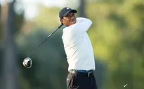 Tiger Woods sẽ không tham dự giải golf Houston mở rộng