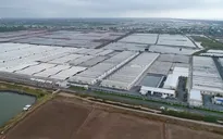 Tạo sinh kế, làm giàu từ con tôm