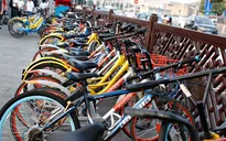 Đề xuất thí điểm mô hình xe đạp công cộng ở TP.HCM