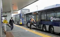 New Zealand dỡ bỏ hạn chế tại Auckland trong tuần này