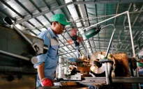 Gần 32 triệu lao động Việt bị ảnh hưởng bởi COVID-19