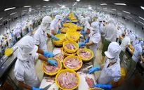 Thủy sản Việt Nam xuất sang 154 thị trường, riêng 6 thị trường lớn chiếm gần 80% kim ngạch