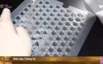 WHO: Vaccine ngừa COVID-19 có thể sẵn sàng vào cuối năm 2020