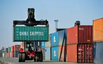 WTO: Giao dịch hàng hóa toàn cầu giảm 9,2% trong năm 2020