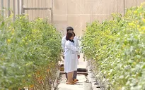 Đăk Lăk ưu tiên nguồn lực phát triển nông nghiệp công nghệ cao