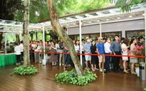 Bất ngờ trước cảnh tượng xếp hàng dài từ sáng sớm để xem nhà mẫu và mua nhà tại Ecopark