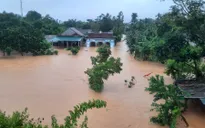 Thủ tướng: Tập trung toàn lực đảm bảo an toàn tính mạng, hạn chế thiệt hại của người dân vùng mưa bão