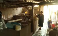Tài sản, trâu bò, lợn gà của người dân vùng lũ Hà Tĩnh bị nước lũ cướp đi