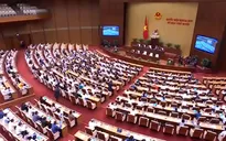 Hôm nay, Quốc hội biểu quyết việc bỏ HĐND quận, phường ở TP.HCM