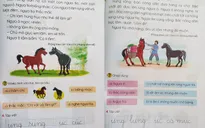 Cả 3 bản mẫu sách giáo khoa lớp 2 mới đều không đạt
