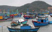 Phú Yên di dời hơn 4.000 hộ dân trước bão số 12