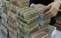 Truy tố Tổng Giám đốc Công ty Cổ phần Forex Toàn Cầu