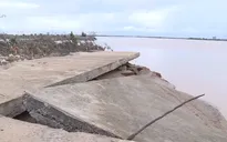 Đê biển sạt lở nghiêm trọng gây thiệt hại hàng trăm tỷ đồng tại Quảng Trị