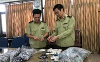 Tạm giữ hơn 124.000 quần áo giả nhãn hiệu thời trang cao cấp