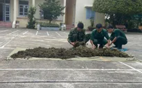 Thu giữ 12kg cần sa vận chuyển trái phép từ Campuchia vào Việt Nam