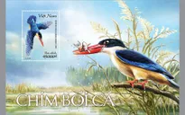 Phát hành bộ tem góp phần bảo tồn chim bói cá