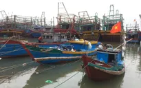 Ngư dân Bà Rịa-Vũng Tàu dương tính với SARS-CoV-2