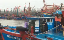 Bão số 13 áp sát, Quảng Bình hoàn thành di dời trên 70.000 dân trong chiều 14/11