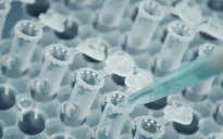 Chuyên gia nhận định: Khó đạt miễn dịch cộng đồng với virus SARS-CoV-2 trong năm nay