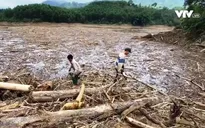 Bất chấp nguy hiểm, người dân vẫn tranh thủ vớt gỗ, đánh cá trong mùa lũ
