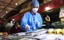 Trung Quốc lại phát hiện virus SARS-CoV-2 trên hàng đông lạnh nhập khẩu