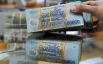TP.HCM: Một số khoản vay tín dụng BĐS có nguy cơ thành nợ xấu