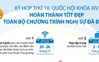 [INFOGRAPHIC] Kỳ họp thứ 10 Quốc hội khóa XIV thông qua 7 Luật, 13 Nghị quyết