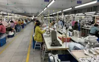 IMF: Tăng trưởng kinh tế Việt Nam 2020 thuộc nhóm cao nhất thế giới