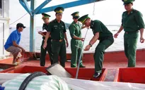 Kiên Giang: Bắt giữ tàu cá vận chuyển dầu trái phép