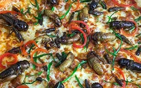 Dân mạng buôn gì: Pizza côn trùng hay món quà đặc biệt cho người giàu?