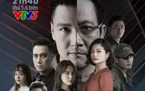 Hôm nay (20/11), "Hồ sơ cá sấu" hoãn phát sóng