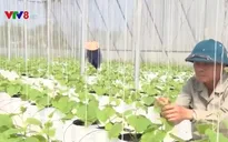 Sản xuất nông nghiệp thích ứng với biến đổi khí hậu
