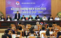 Khai mạc Đại hội thường niên VFF năm 2020 khoá VIII