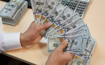 Ngân hàng Nhà nước lần đầu hạ giá mua USD trong năm 2020