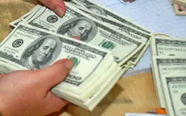 Giá USD ra sao sau khi Ngân hàng Nhà nước giảm mạnh giá mua vào?