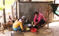 Chuyện khó tin: Cả làng phải dùng nước mương để... ăn uống, sinh hoạt