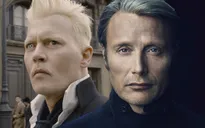 Đã tìm được người thay thế Johnny Depp trong "Fantastic Beasts"