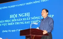 Chính phủ hỗ trợ khẩn miền Trung 1.250 tỷ đồng, 21,53 triệu USD từ nước ngoài chuyển về