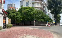 Đã bắt được nghi phạm chặt xác giấu trong vali ở TP.HCM