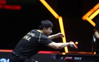 Ma Long và Wang Chuqin vào chung kết đơn nam giải bóng bàn WTT Finals